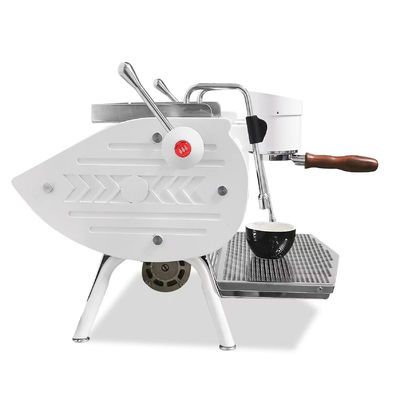 6.0L Dubbelgroep Elektrisch roestvrij staal espresso koffiezetapparaat voor cappuccino en latte